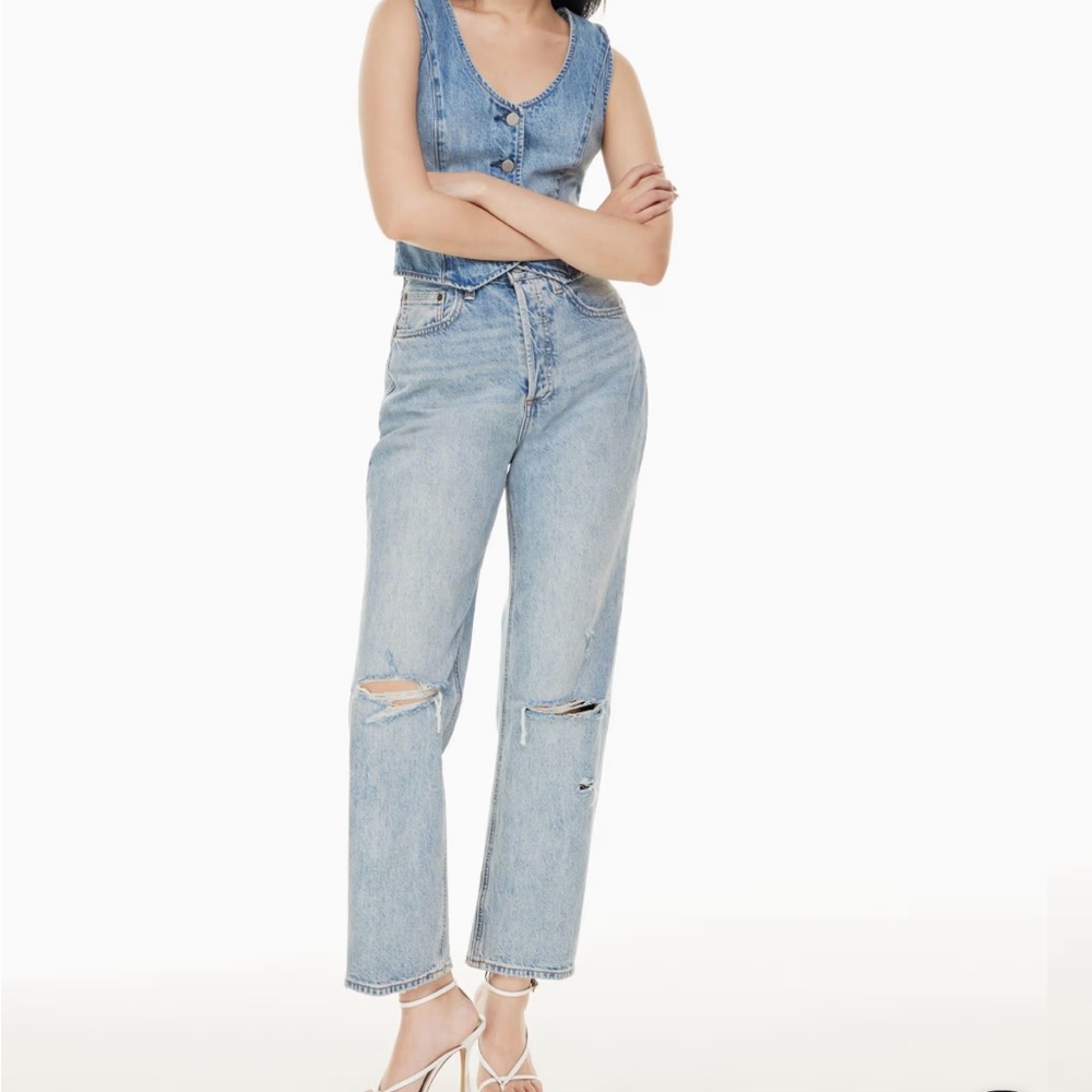 ARITZIA Joni High Rise Loose Jeans 29L